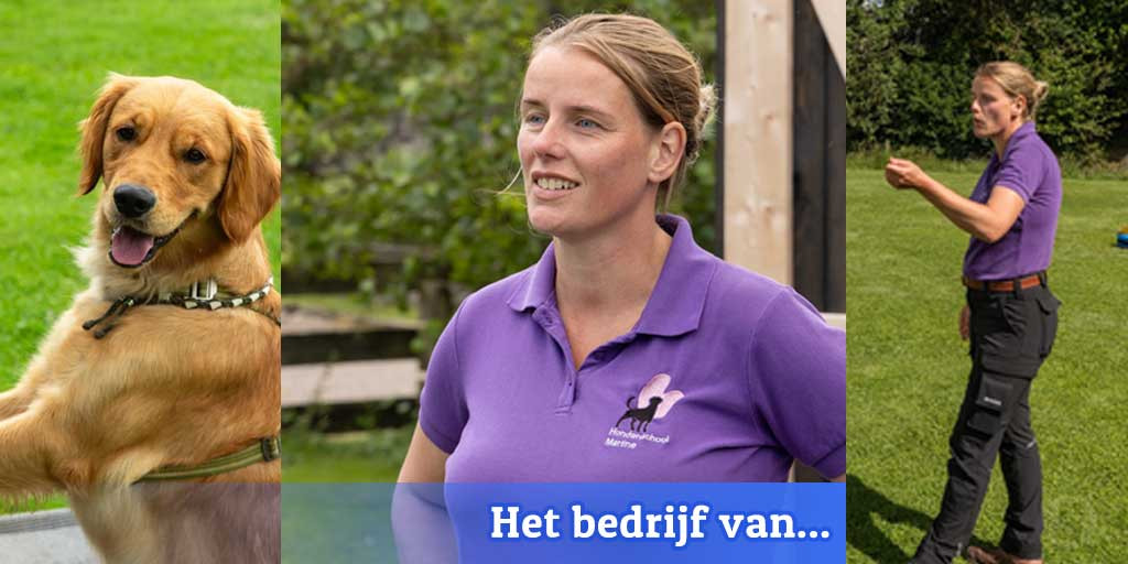 Hondenschool Martine, het bedrijf van Martine Dijkstra-Hoekstra