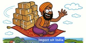 Nederlandse ondernemers importeren steeds meer uit India